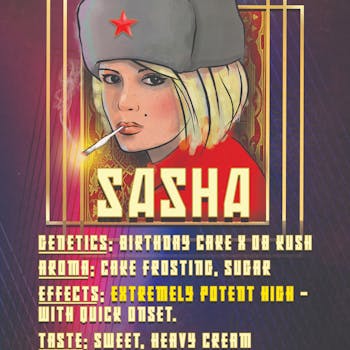 Sasha Flower